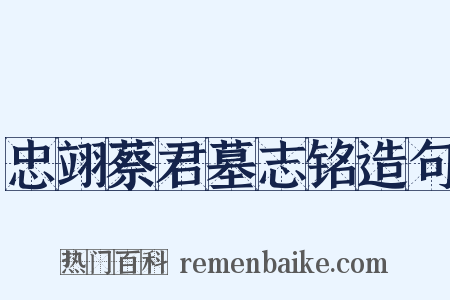 忠翊蔡君墓志铭造句是什么意思的图片